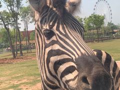 -南京金牛湖风景区