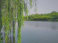 -西安汉城湖景区