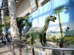 -国家自然博物馆