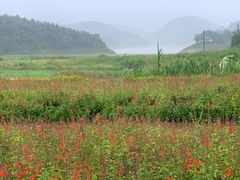 -孔雀湖生态旅游区