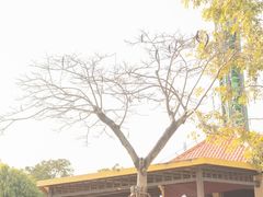 -盈香心动乐园