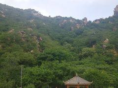 -大岭沟猕猴桃谷风景区