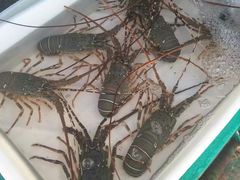 -拉威海鲜市场