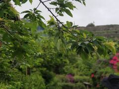 -优游吧斯邹族文化部落