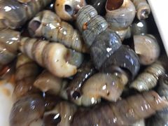 -宾朋海鲜特色美食餐厅·纯手工鲅鱼水饺(兴海路店)