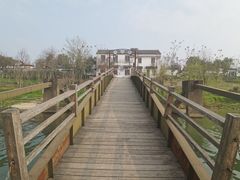 -东梓关景区村庄