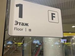 -谢列梅捷沃国际机场