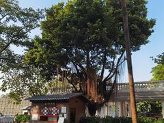 -荔湾博物馆
