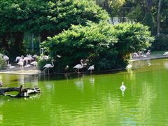 -九龙公园