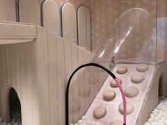-龙格亲子游泳·水育早教运动中心(绿宝中心)