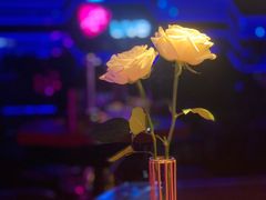 -A+ LIVE HOUSE(武汉天地店)