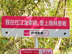 -亚龙湾热带天堂森林公园