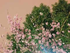 -碧海云天(川环南路店)