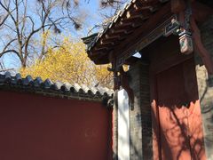 -泰山风景名胜区-普照寺