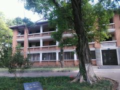 -中山大学学者灵芝(园南路店)