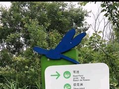 -西湖风景区-江洋畈生态公园