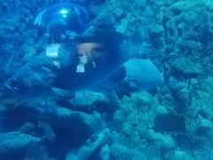 -海洋公园海洋列车－海滨站