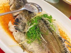 蒸老虎斑-金榜大酒店-中餐
