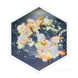 夏天没有西瓜— 点评让我变成小厨娘系列 | 西兰花虾仁意面