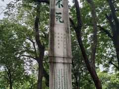 -桂林独秀峰王城景区