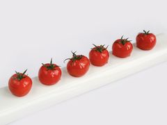 -中国坊中餐厅(石家庄希尔顿酒店)