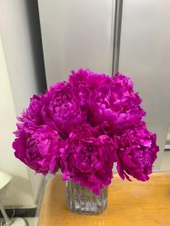 -Oasis Beauty水磨坊科技美肤中心