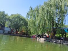 -团结湖公园