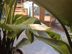 -阳光院坝小龙虾(红牌楼店)