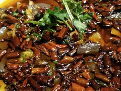 新味毛血旺-一个叫川的地方(麒麟新天地店)