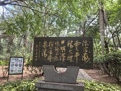-宋井风景区