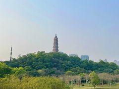 -顺峰山公园