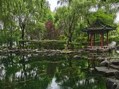 -百脉泉景区