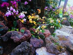 -南山植物园