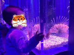 -波塞冬旅游度假区