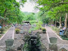 -海口火山口国家地质公园