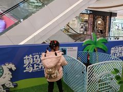 -国芳中心