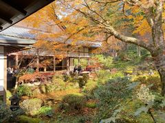 -三千院