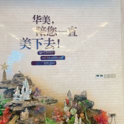 体验前-华美整形美容医院