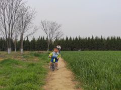 -汉长安城未央宫国家考古遗址公园