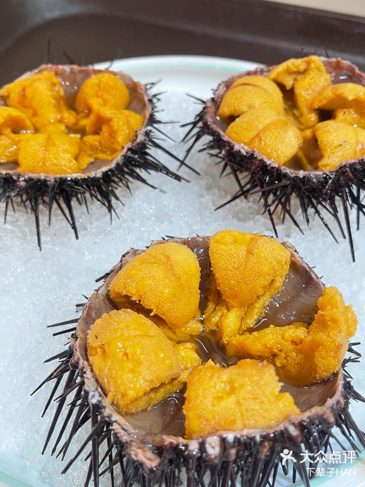 不一样的小平岛海胆