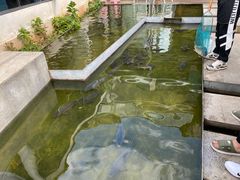 -大理老字号·舟渔的鱼野生菌海景餐厅(双廊店)