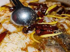 -胡桃里音乐酒馆(罗湖HALO广场店)