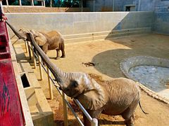 -西霞口神雕山野生动物世界