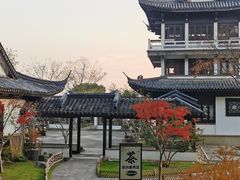 -无锡蠡湖国家湿地公园-蠡园