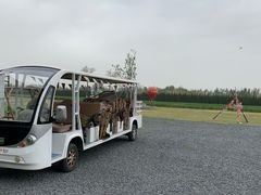 -汉长安城未央宫国家考古遗址公园