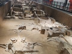 -洛阳周王城天子驾六博物馆