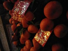 -外沙疍家棚酒楼