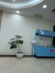 -上海伊莱美医疗美容医院