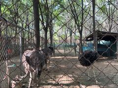 -草根堂农场