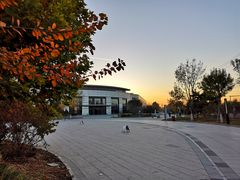 -北京国家会计学院